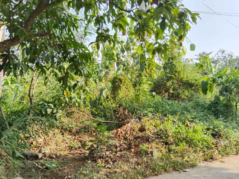 tanah luas daerah tembalang semarang