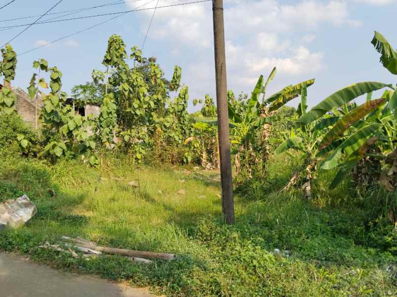 tanah luas daerah tembalang semarang