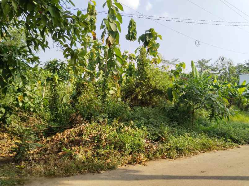 tanah luas daerah tembalang semarang