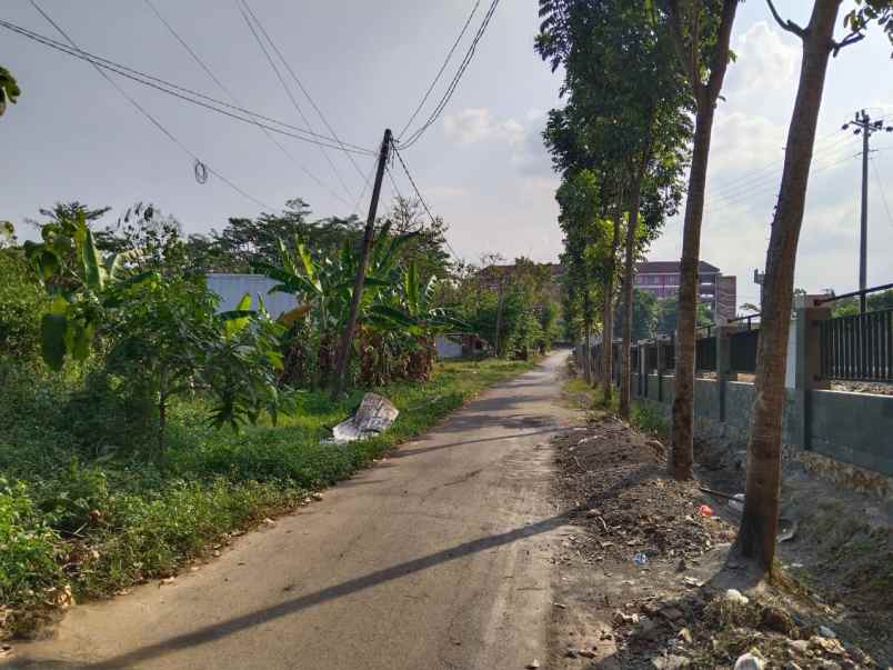 tanah luas daerah tembalang semarang