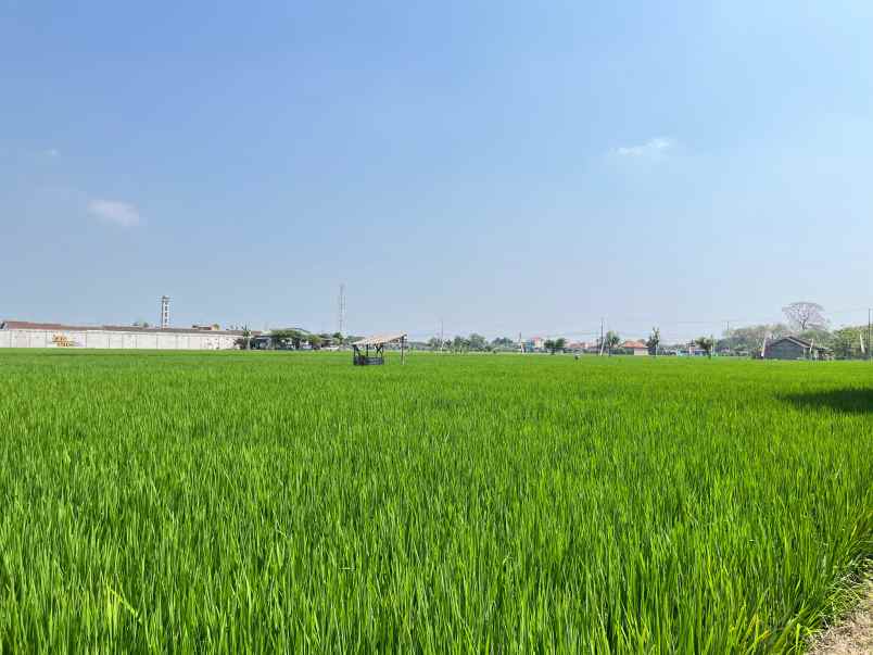 tanah strategis dekat pusat kota sragen hanya 2jt m