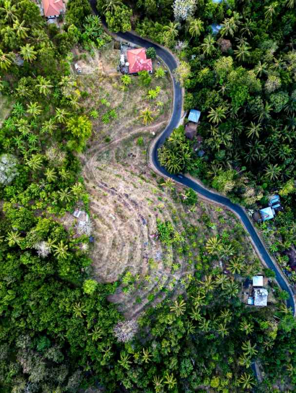 tanah strategis di buleleng bali