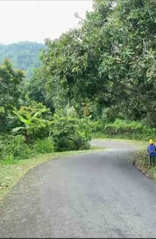 tanah strategis di buleleng bali