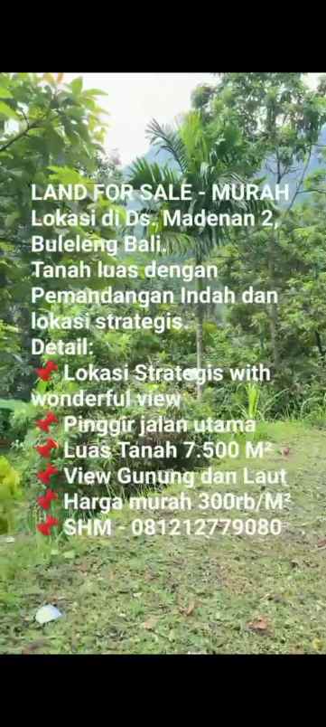 tanah strategis di buleleng bali