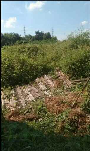 tanah tepi jalan dekat rumah