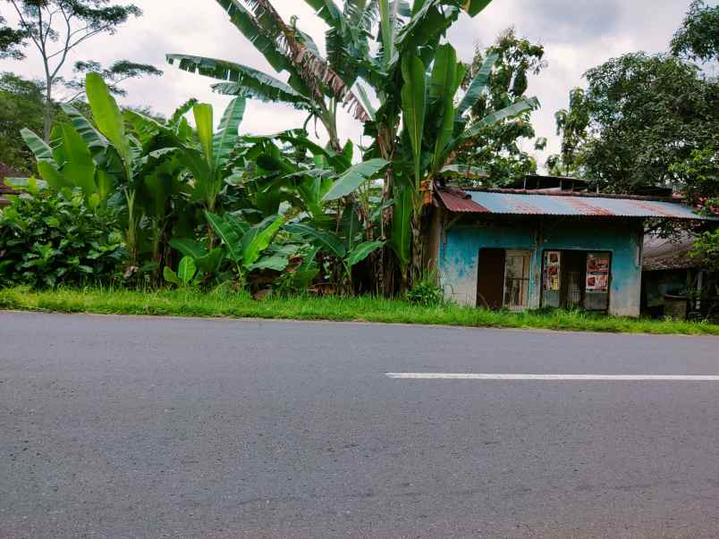 tanah tepi jl raya karangpandan