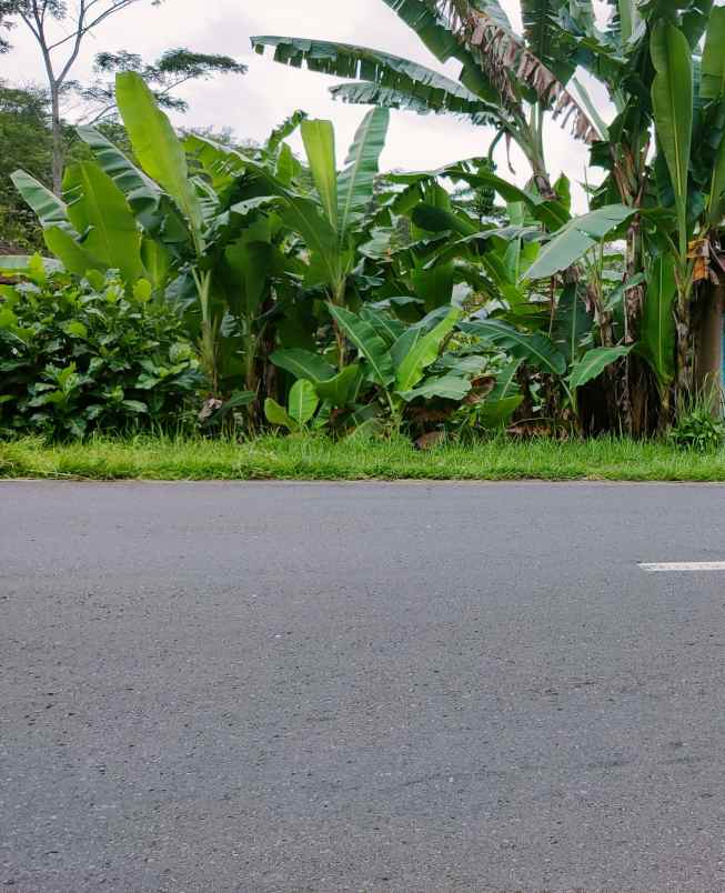 tanah tepi jl raya karangpandan