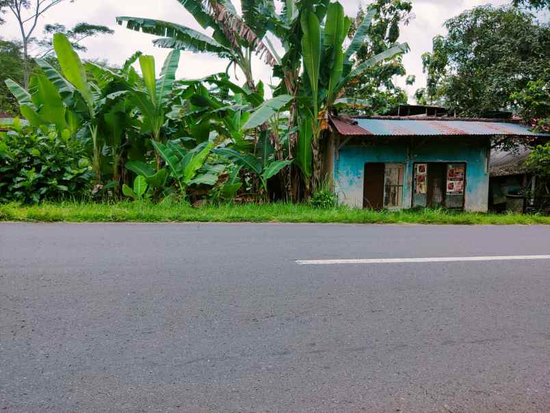 tanah tepi jl raya karangpandan