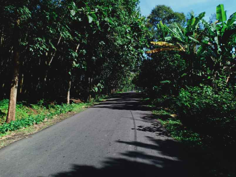 tanah tepi jl raya kerjo sragen