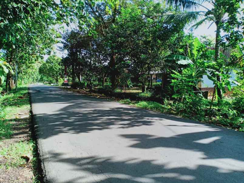 tanah tepi jl raya kerjo sragen