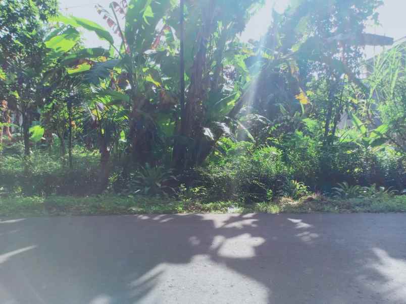 tanah tepi jl raya kerjo sragen