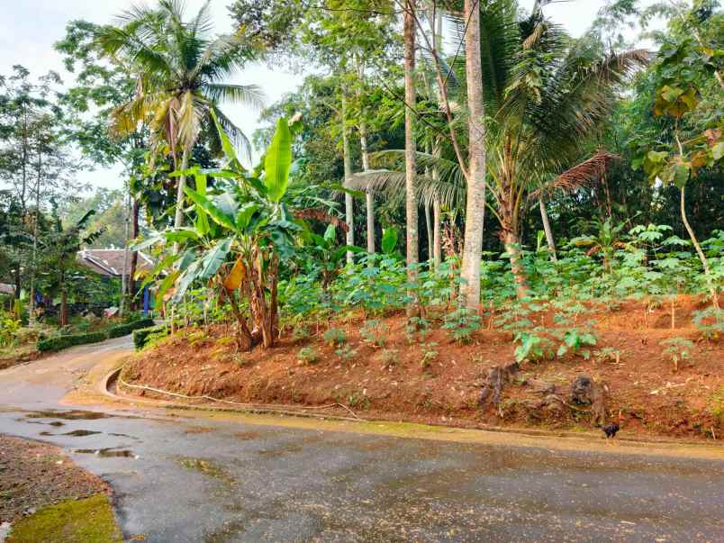 tanah timur pasar batujamus