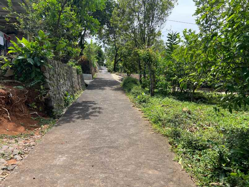 tanah untuk kebun buah 150 juta karanganyar