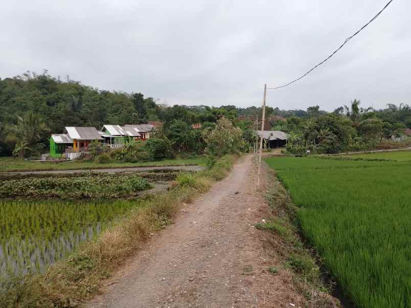 tanah untuk kolam pemancingan subang