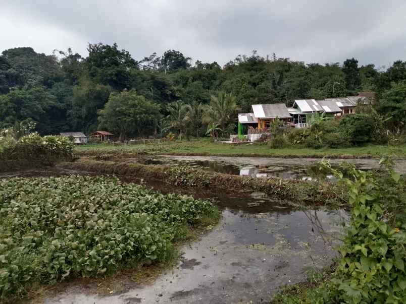 tanah untuk kolam pemancingan subang