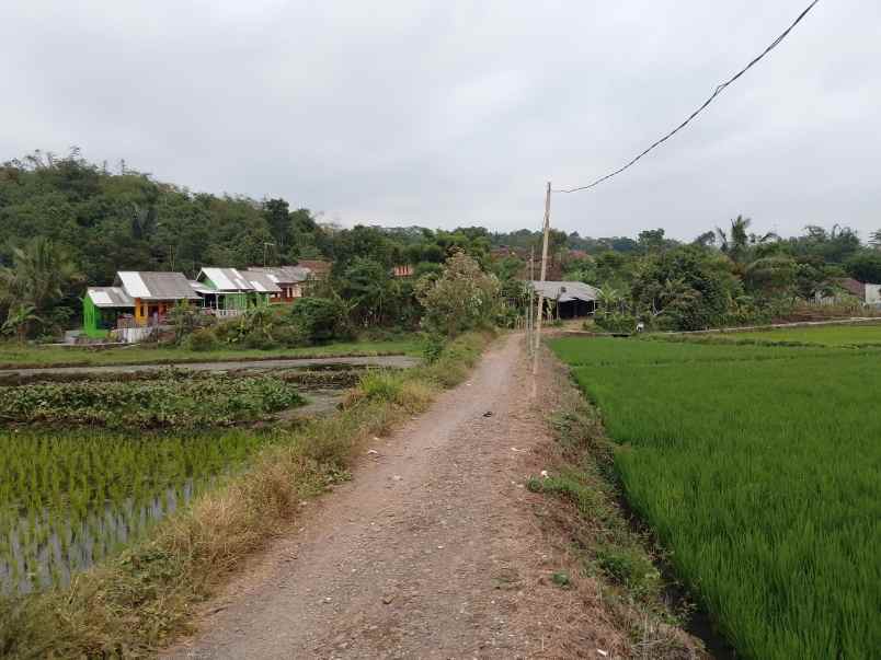 tanah untuk kolam pemancingan subang