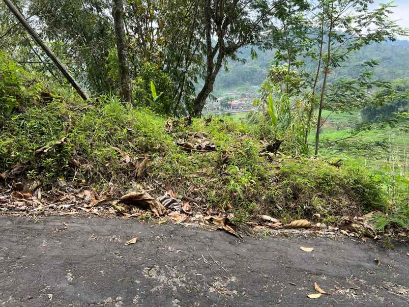 tanah view istimewah 500m 125jt ngargoyoso