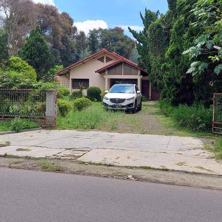 apartemen cihampelas