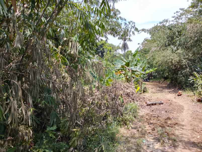 bismillah dijual cepat tanah murah