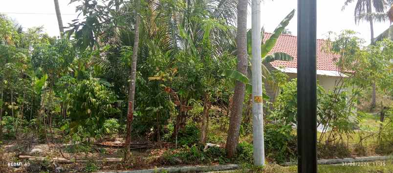 bu jual tanah sawah
