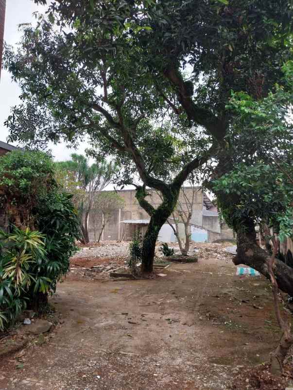 cuma 40 meter dari kampus ui depok