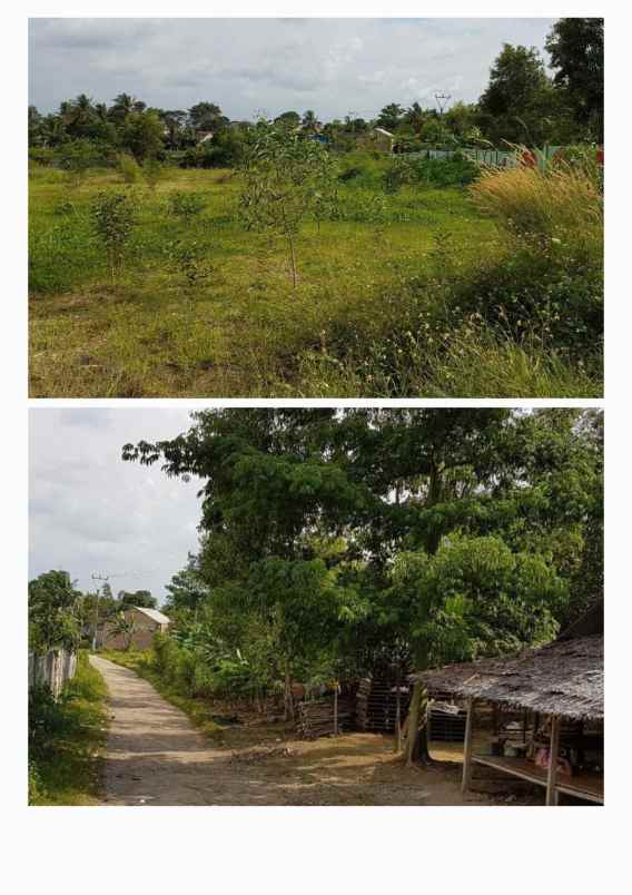 dijual cepat tanah 7 2 ha shm legok