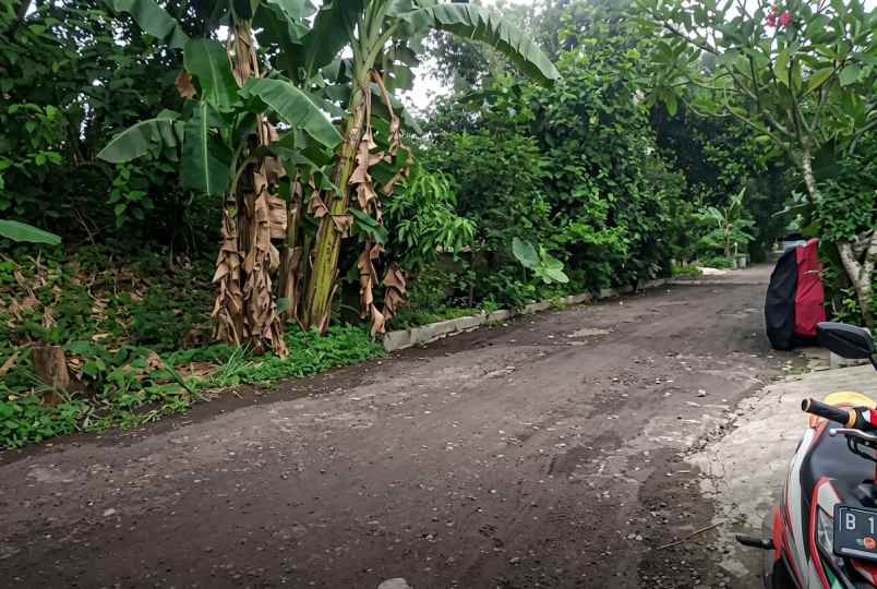 dijual cepat tanah dalam perumahan cinangka depok