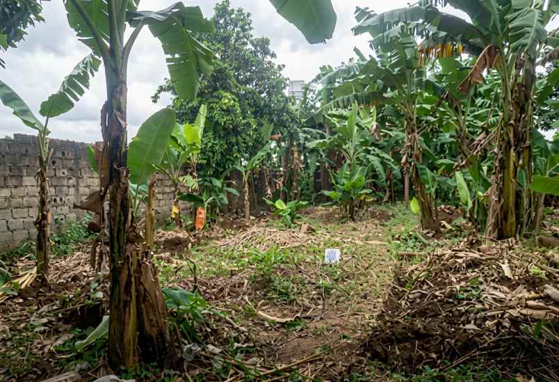 dijual cepat tanah dalam perumahan cinangka depok