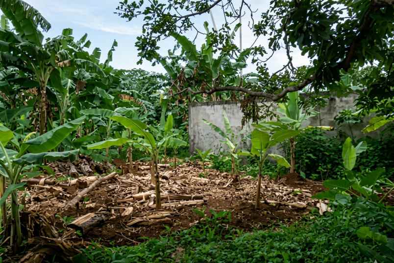 dijual cepat tanah dalam perumahan cinangka depok