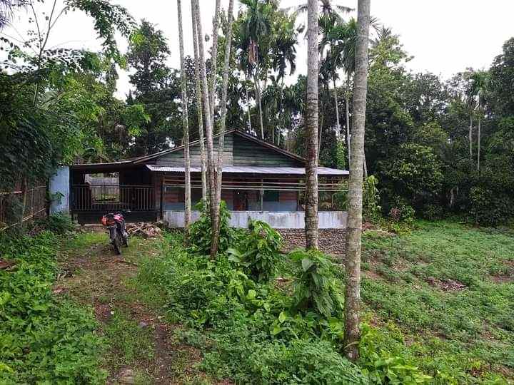 dijual cepat tanah murah