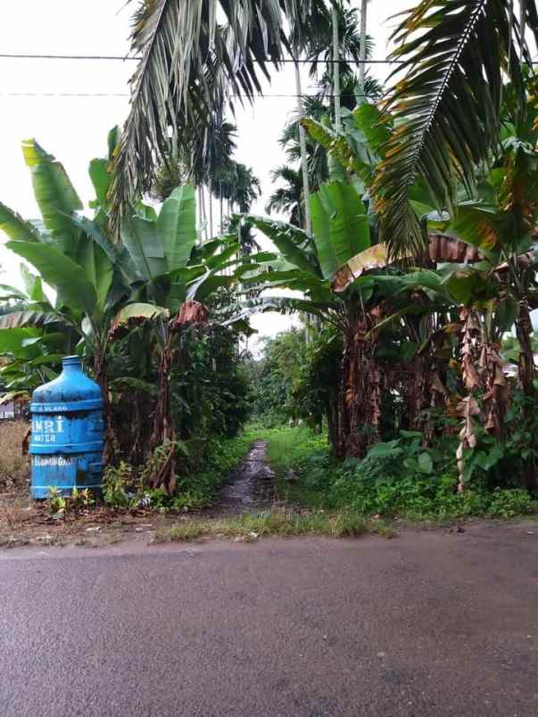 dijual cepat tanah murah