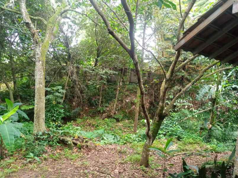 dijual rumah bedahan depok