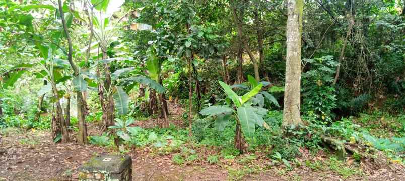 dijual rumah bedahan depok