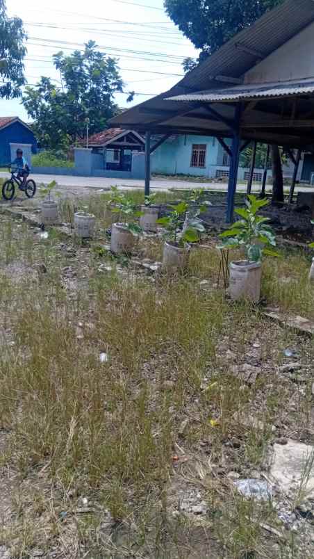 dijual rumah di kp nagrog rt rw 05 02 desa kertamukti