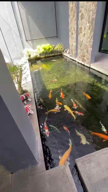 dijual rumah di palir podorejo ngaliyan semarang