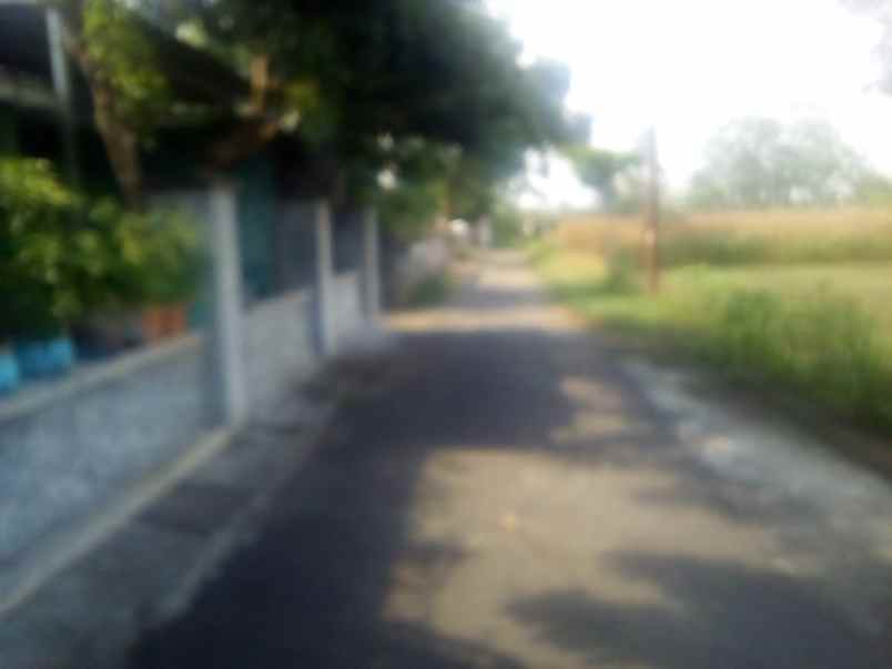 dijual rumah dijual rumah di rt 06 03