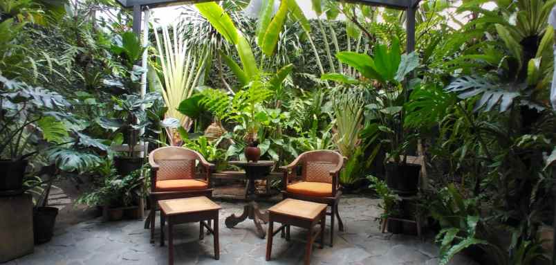 dijual rumah jalan citraland utama