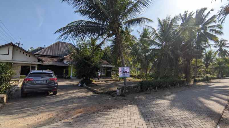 Bwi A365 Dijual Rumah Di Jl Pesanggaran Desa Ringintelu Bangorejo