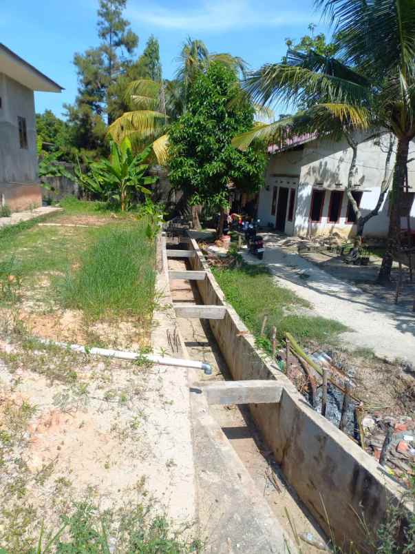 dijual rumah jl sekuntum