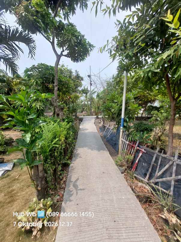 dijual rumah kp gaga rawa kompeni kamal
