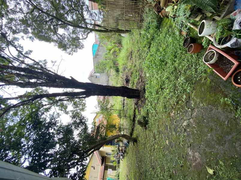 dijual rumah murah saja
