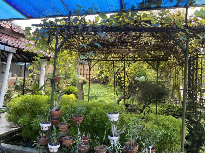 dijual rumah murah saja