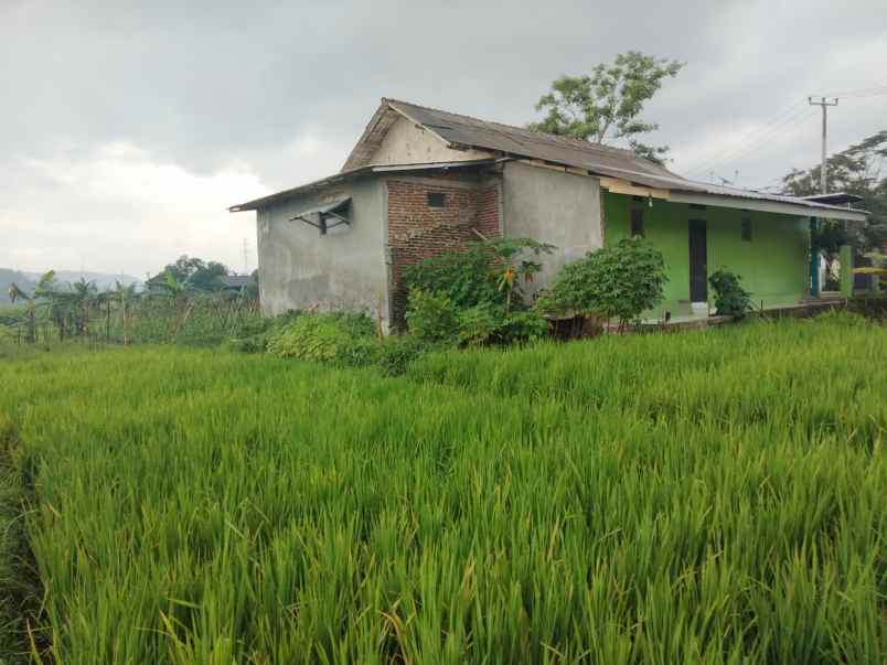 dijual rumah siap huni pinggir jalan view bagus