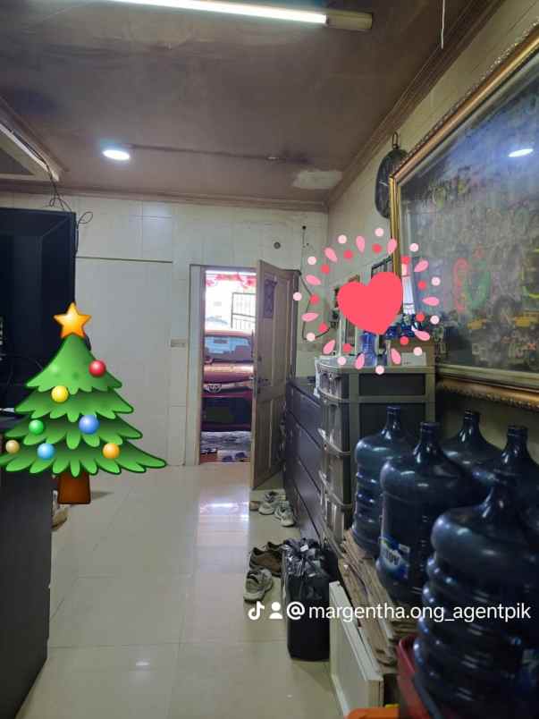 dijual rumah taman palem lestari