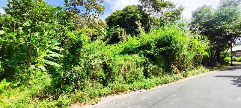 dijual tanah bandungan strategis