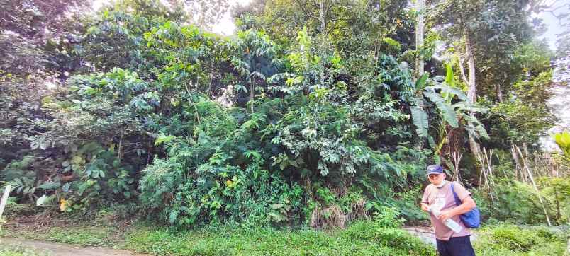 dijual tanah bandungan strategis