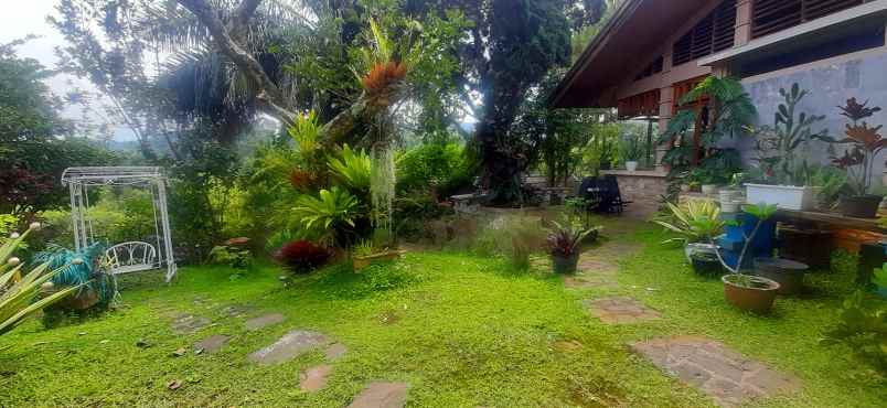 dijual tanah bukit pakar timur