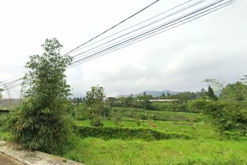 dijual tanah desa kawungluwuk sukaresmi