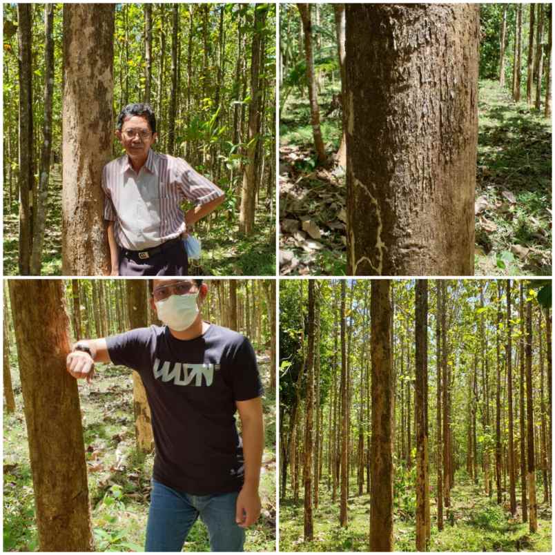 dijual tanah di desa buniwangi surade sukabumi