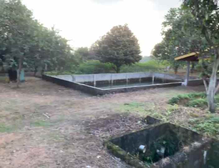 dijual tanah dijual tanah di cimanggu 2